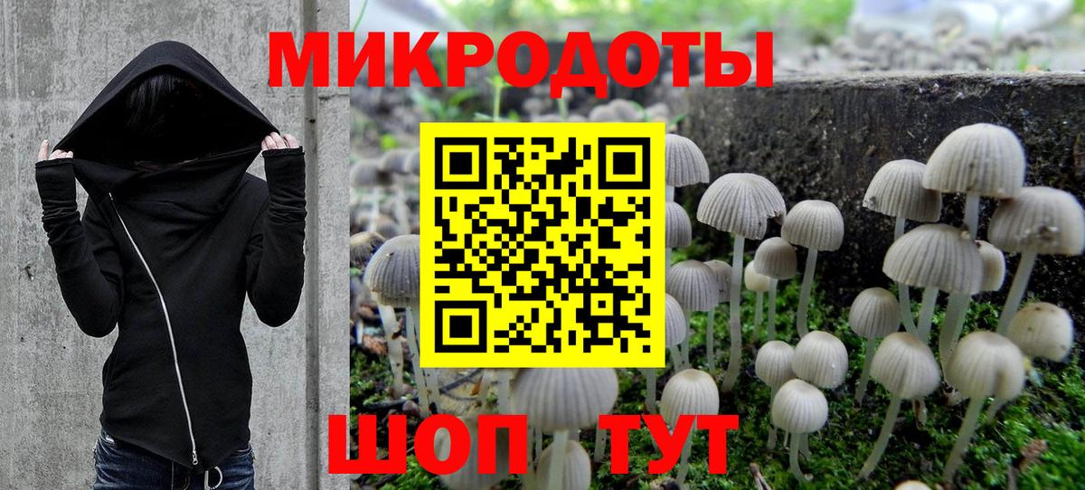 Мелеуз  Галлюциногенные грибы Psilocybe  Галлюциногенные грибы Psilocybe  Вход с VPN 